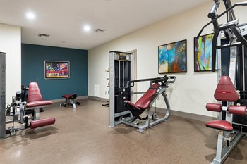 Fitness Center Strength and Conditioning Equipment at Terraces at Southaven, Southaven